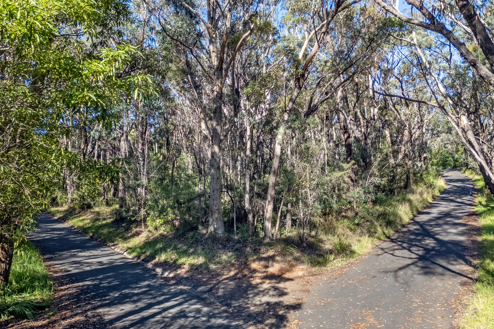 Additional image 4 of 23 Lurline Street, Wentworth Falls NSW 2782