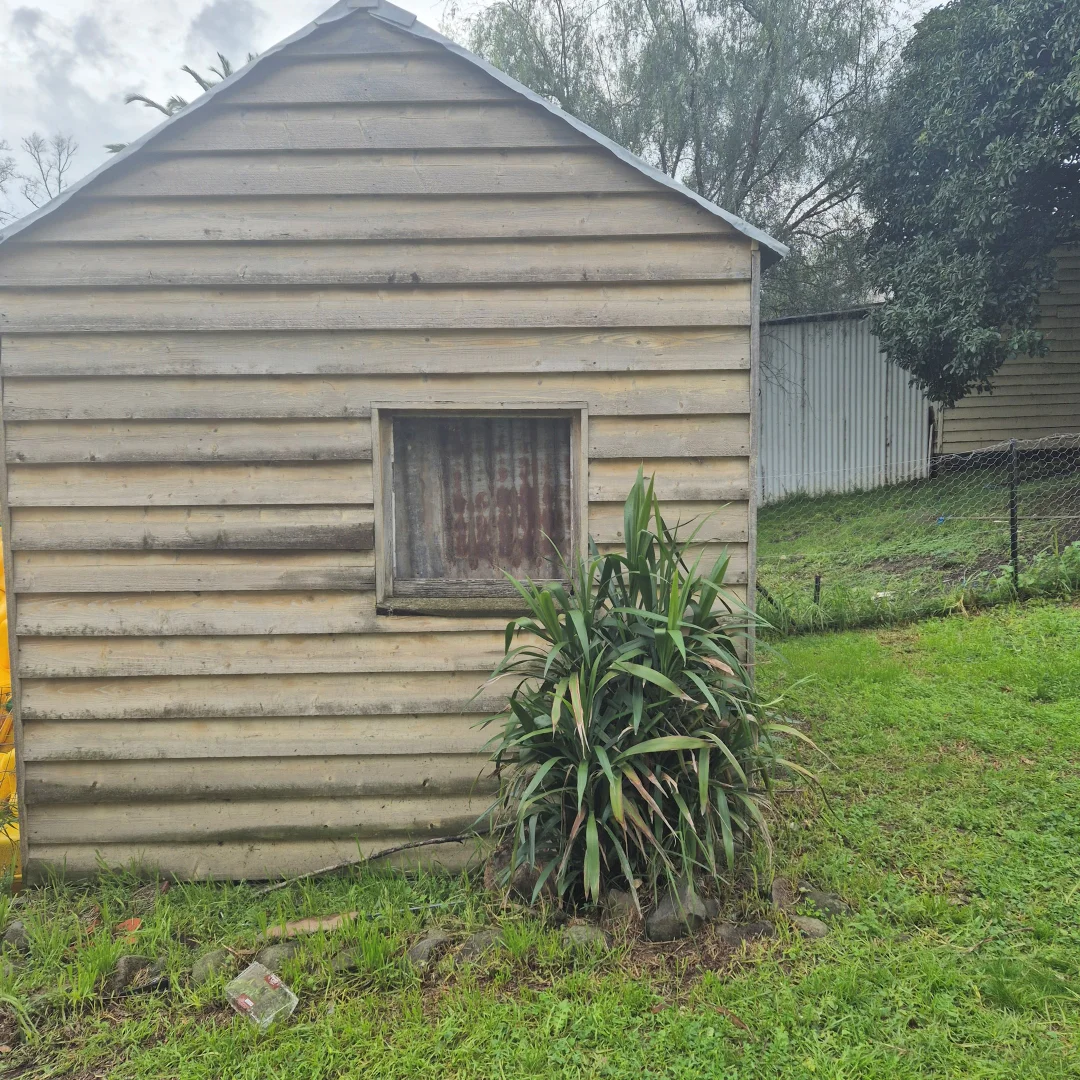 Image 5