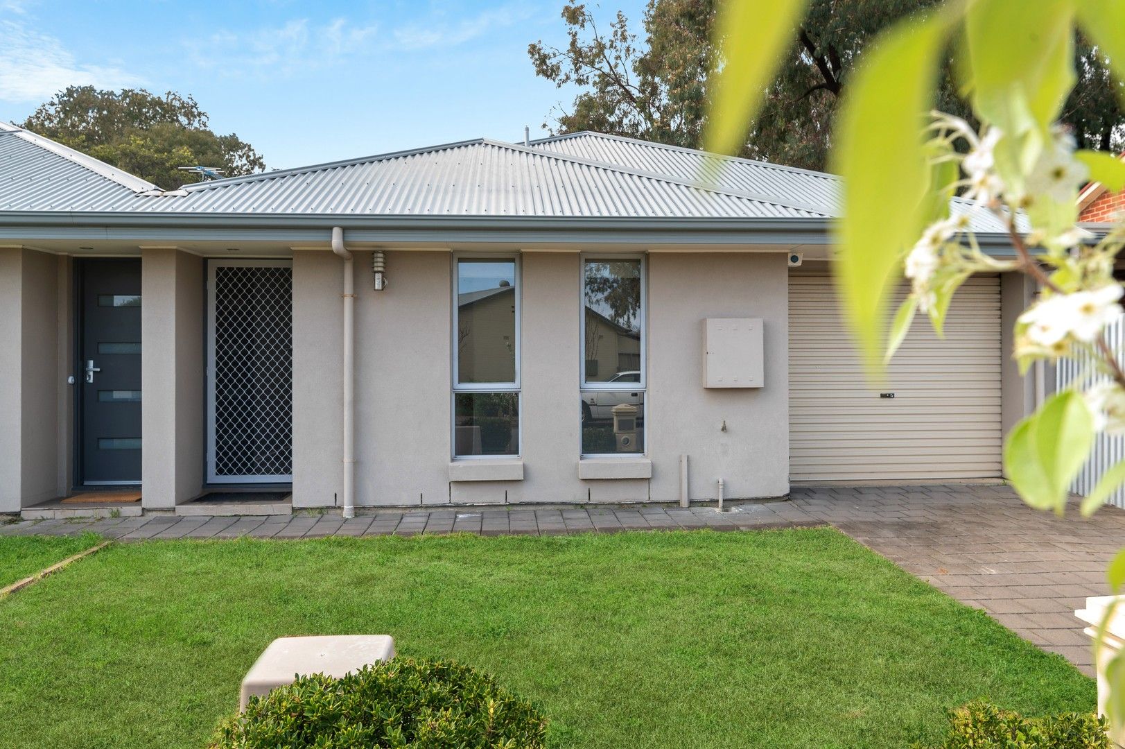 1b Jordan Street, Plympton Park SA 5038, Image 0