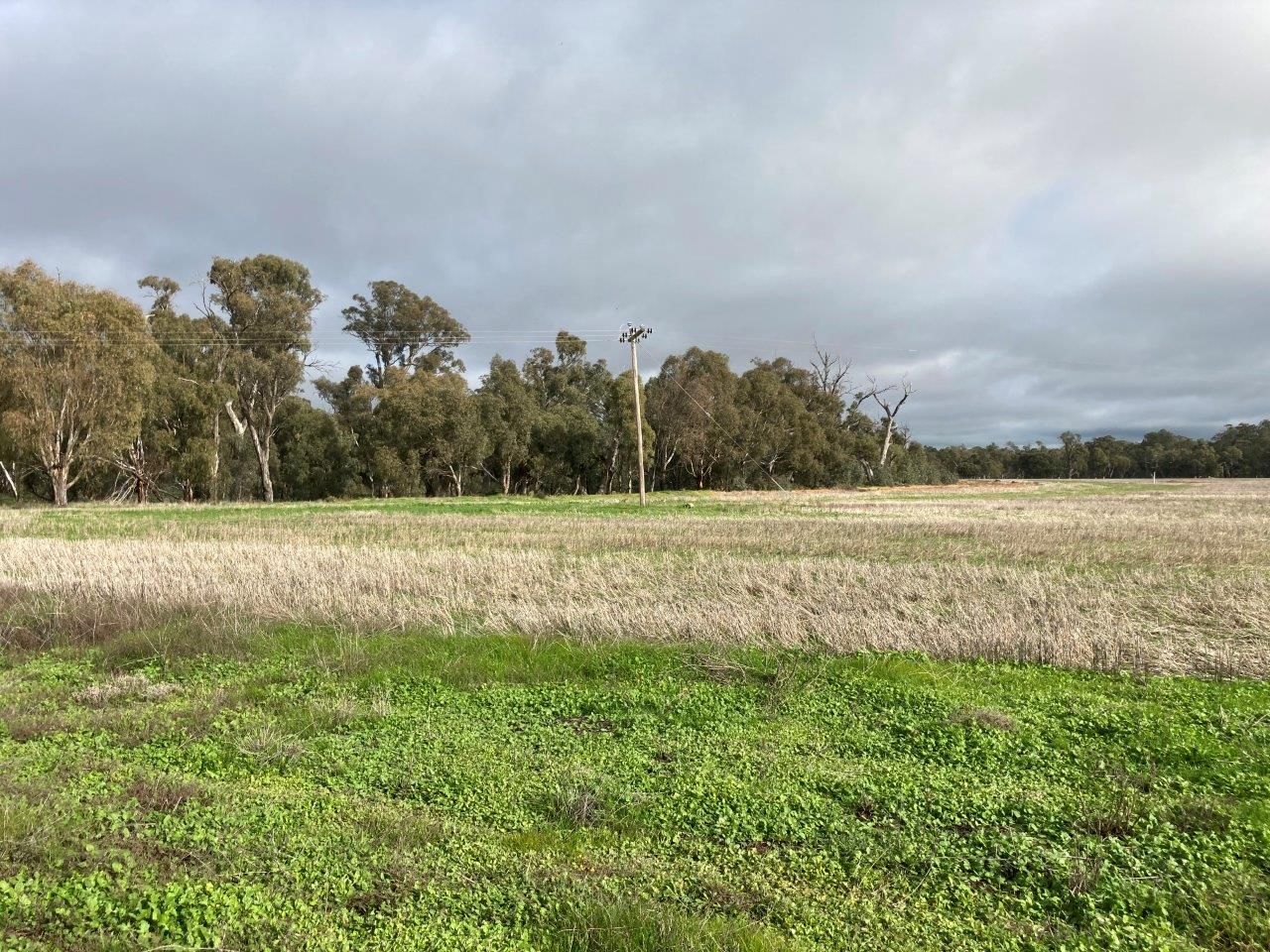 Lot 2 Perricoota Road, Moama NSW 2731, Image 2