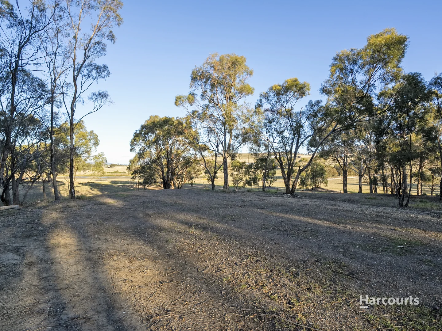 Image 13