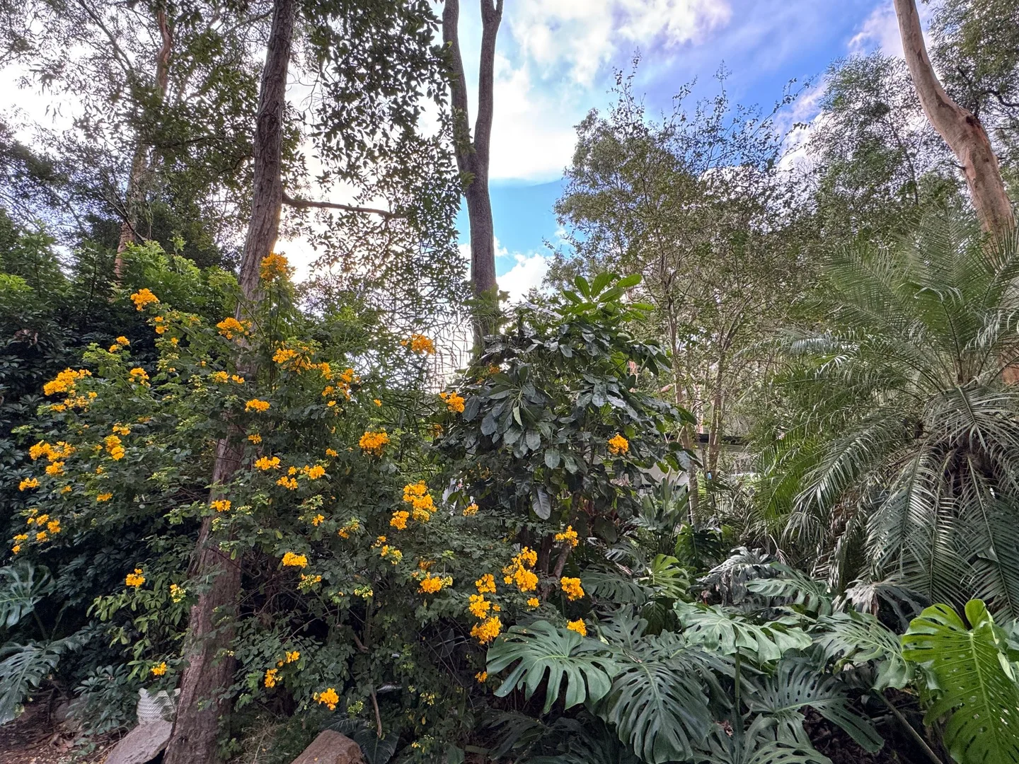 Additional image 15 of Granny flat/262 Kangaroo Gully Rd, Bellbowrie QLD 4070