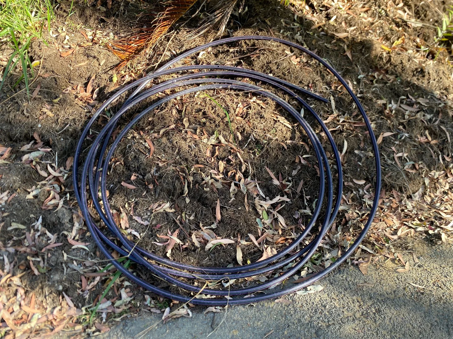 Additional image 13 of 611 Ilkley Rd, Ilkley QLD 4554