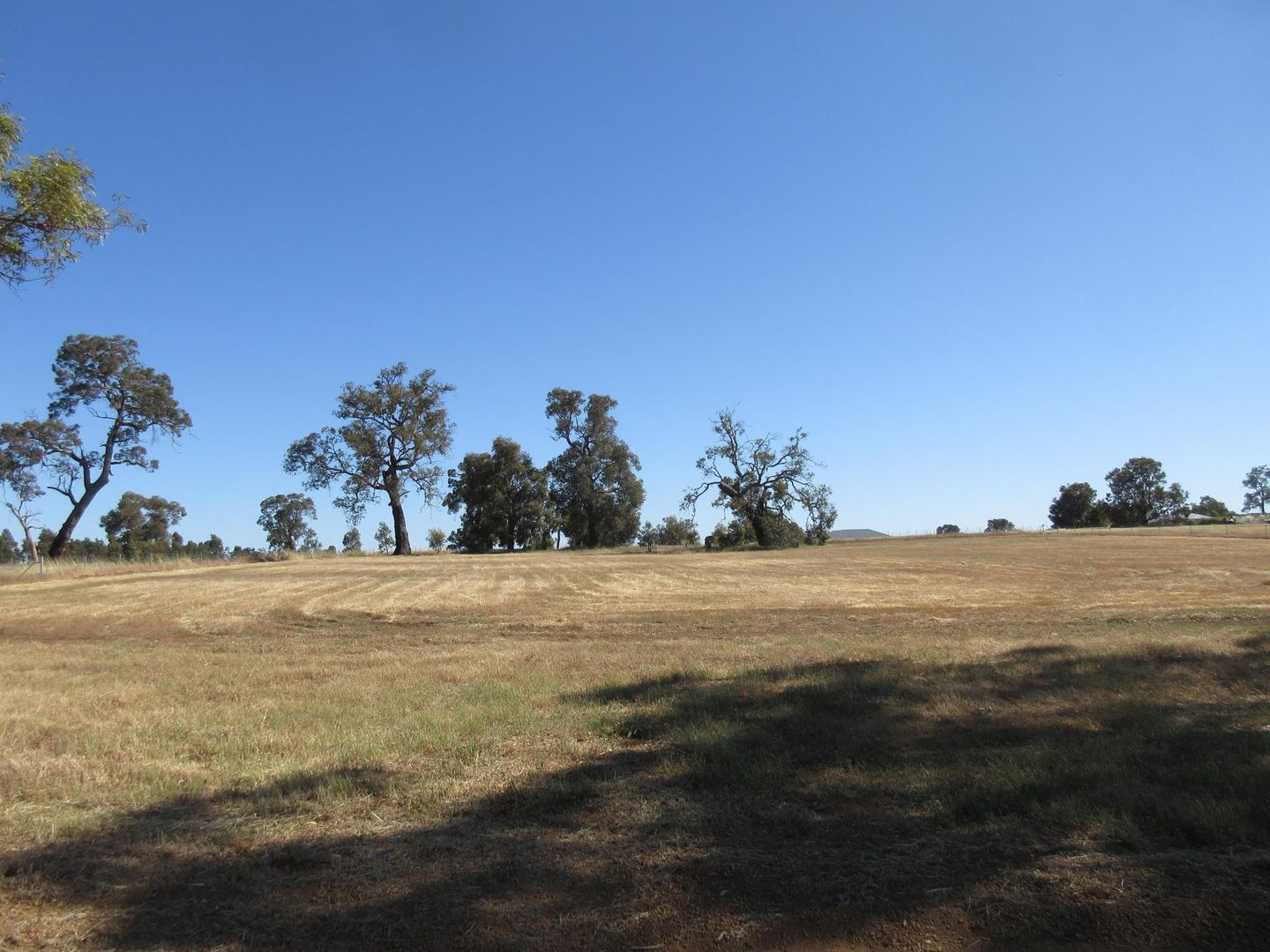 Lot 172, Boodja Road, Wundowie WA 6560, Image 2