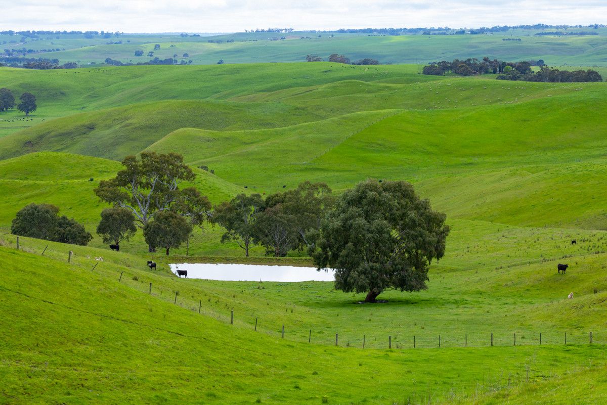 70 Sealeys Road, Sandford VIC 3312 House for Sale Domain