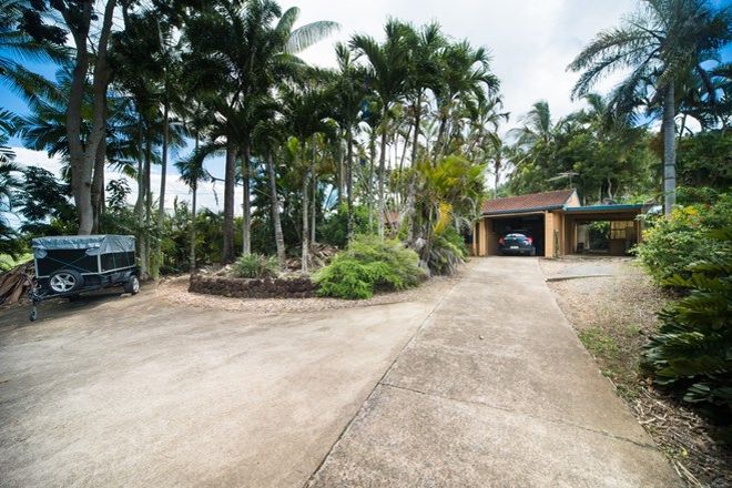 Picture of 473 Shute Harbour Road, MOUNT JULIAN QLD 4800