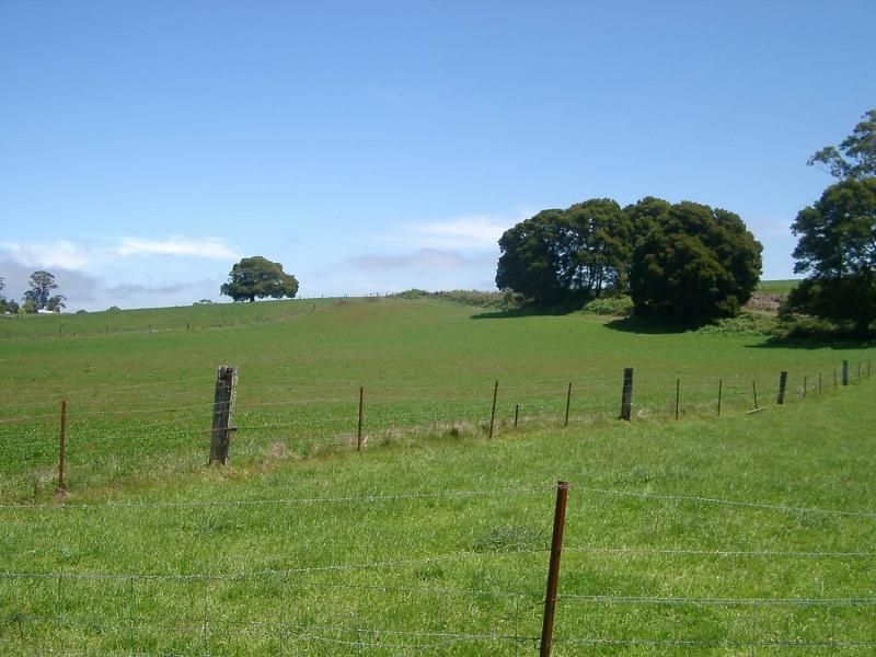 Lot 4 Frith Mill Road, Lyonville VIC 3461, Image 0