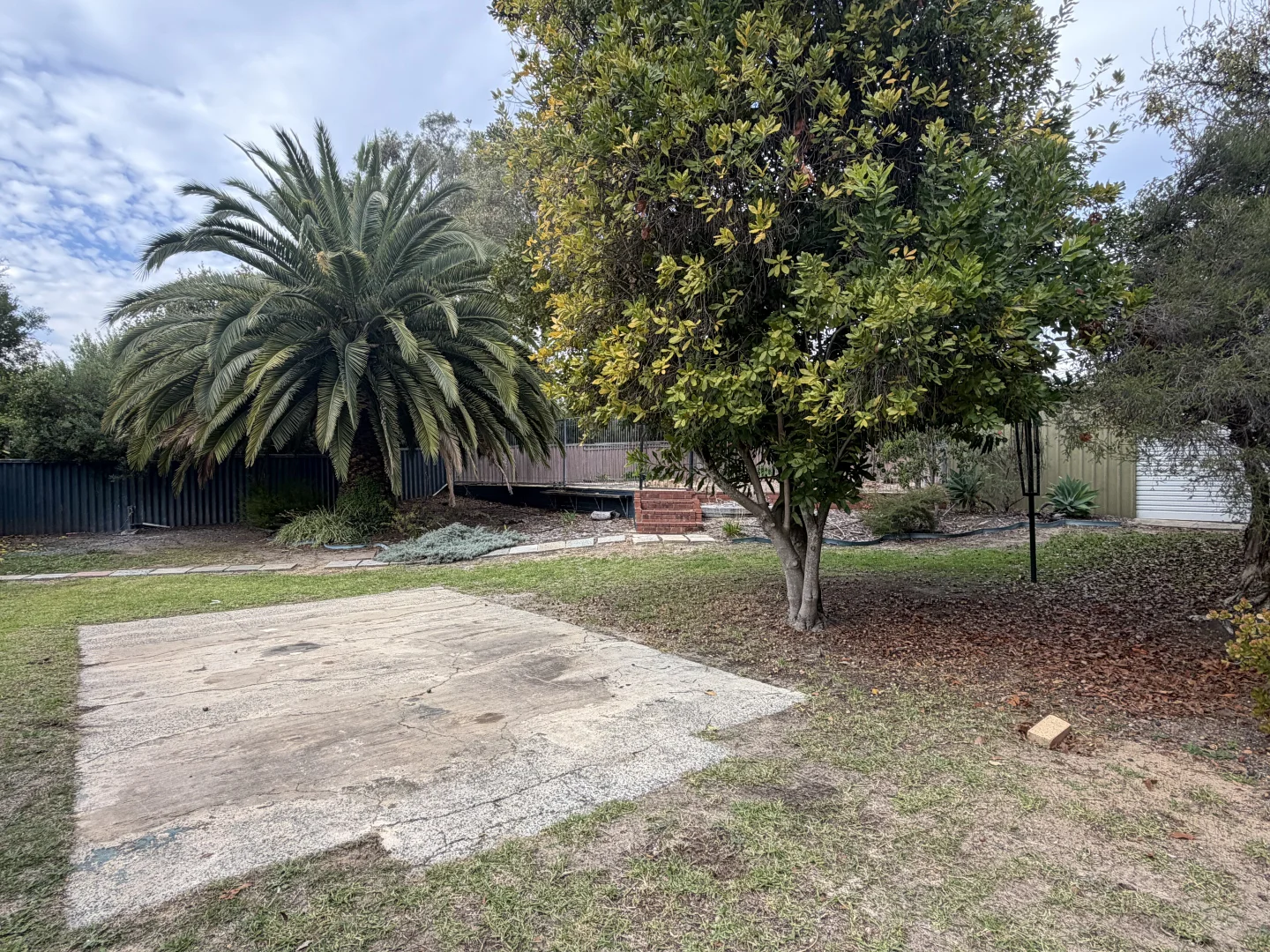 Image 15