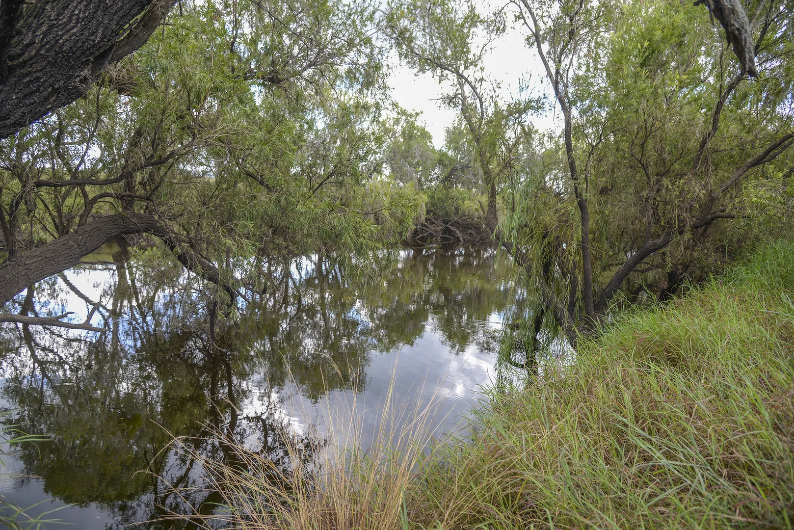 Additional image 6 of 480-510 Rosewood-Warrill View Road, Rosewood QLD 4340