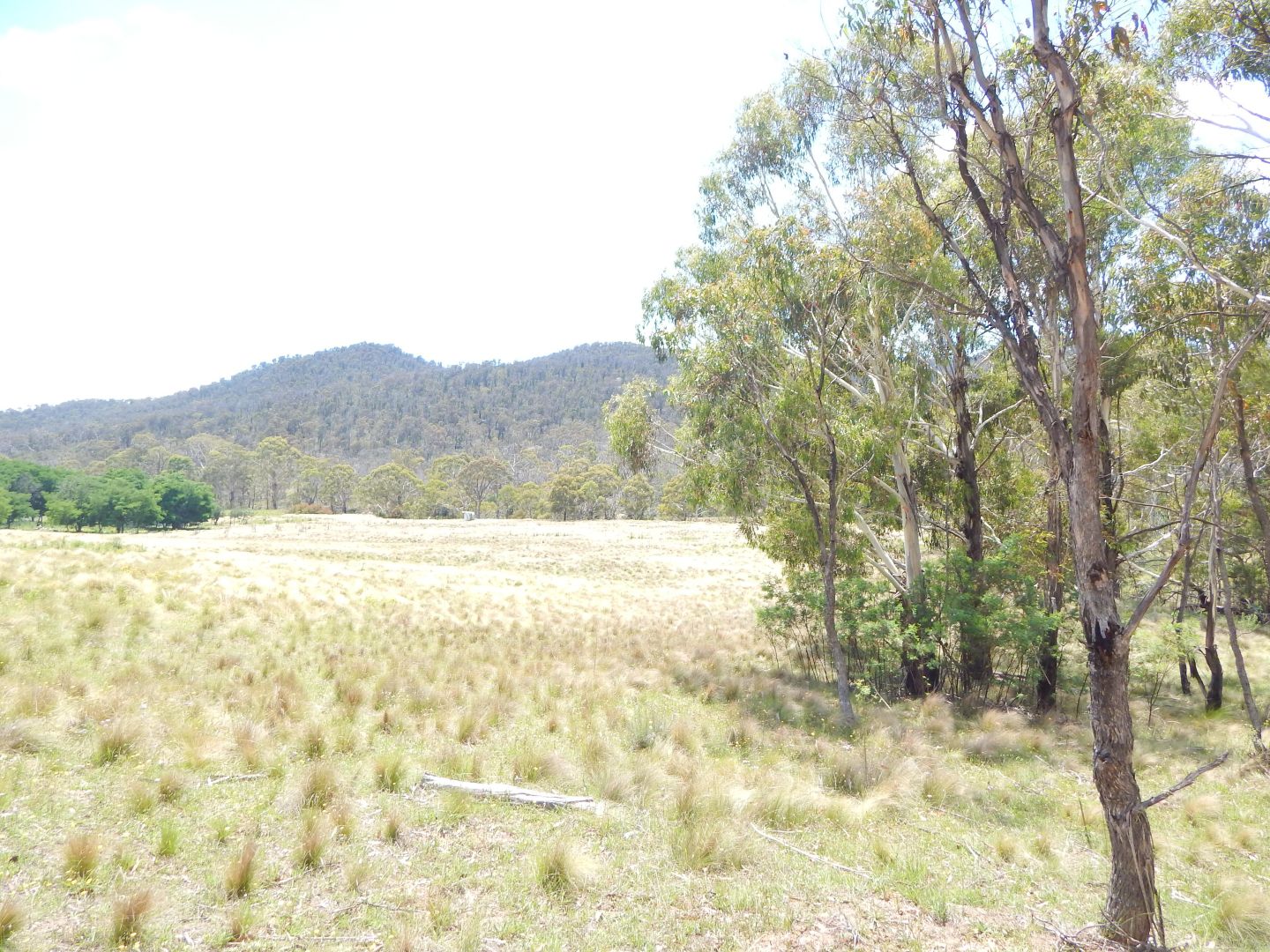 Lot 7 Good Good Road, Bredbo NSW 2626, Image 1