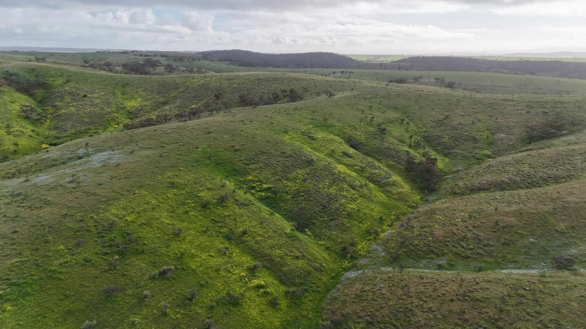 Additional image 14 of 'Crystal Valley' Talbots Road, Crystal Brook SA 5523