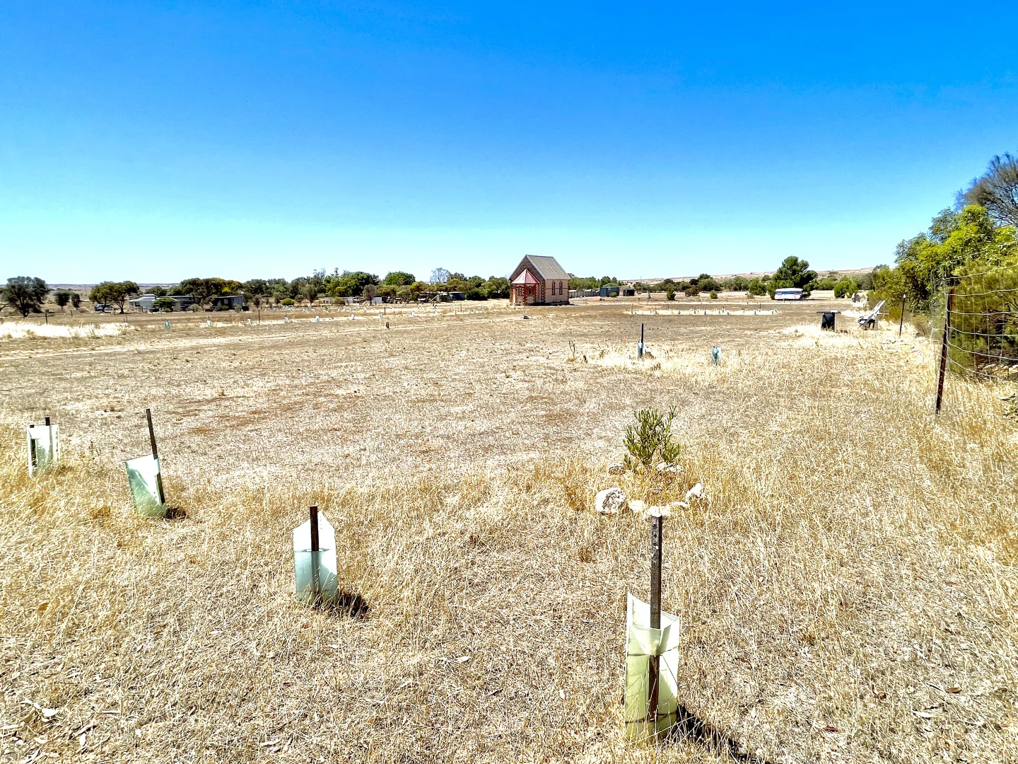 Image 12