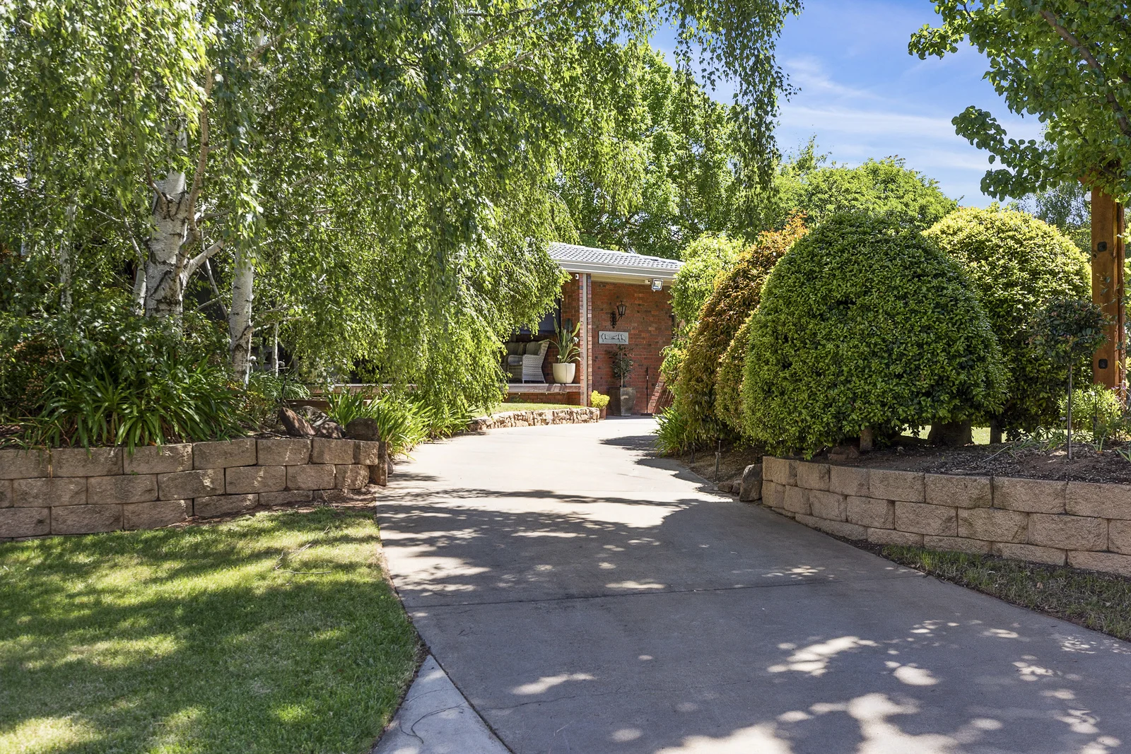 Image 19