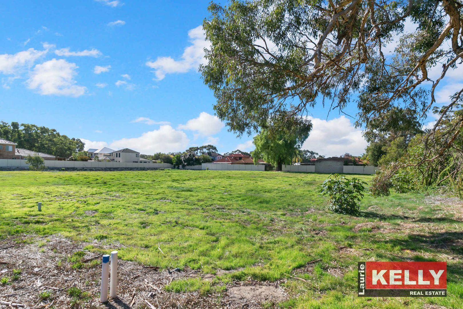8997 Coolgardie Avenue, Ascot WA 6104 Domain