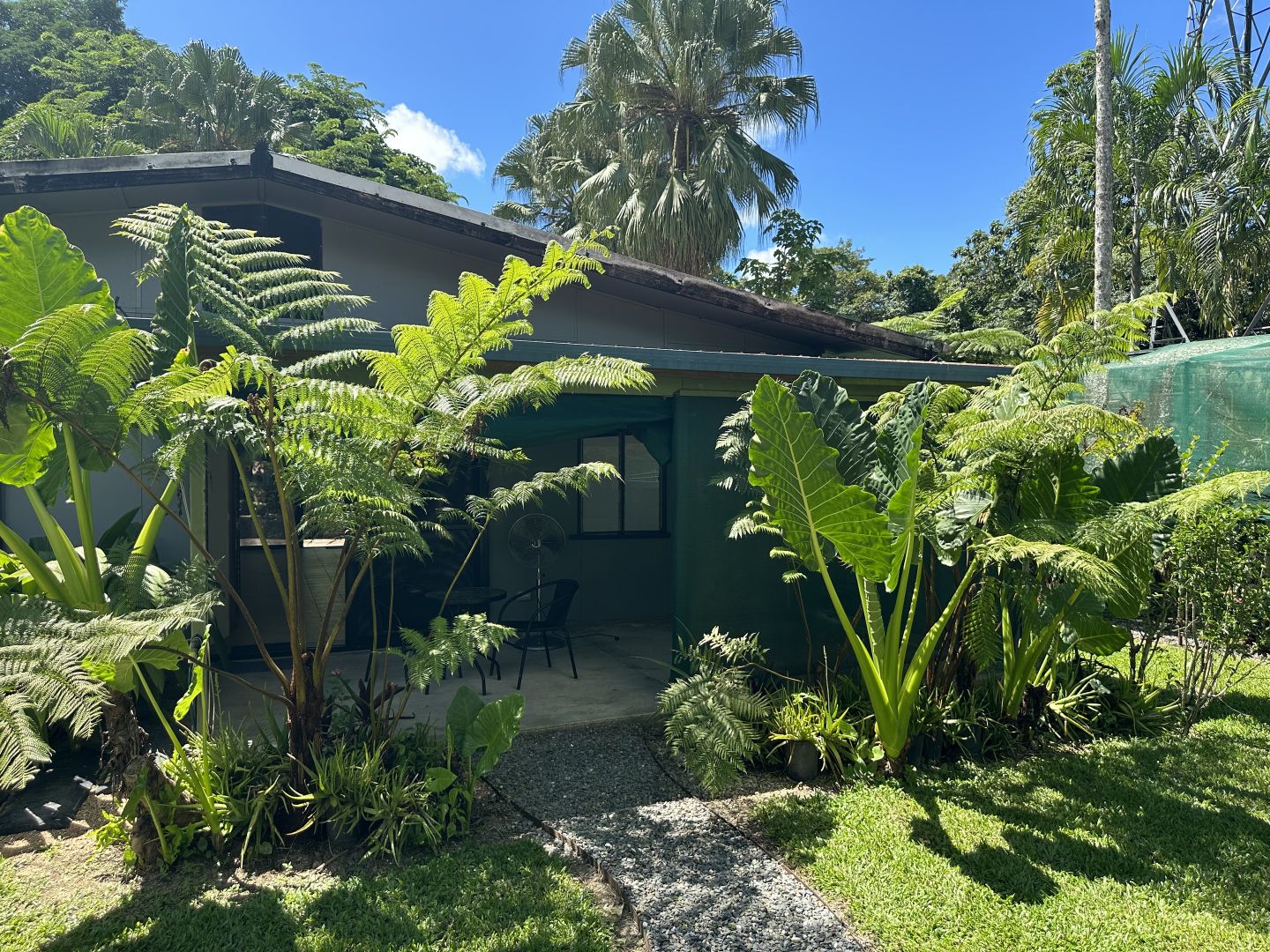 4 Douglas Street, Daintree QLD 4873 House For Rent 450 Domain