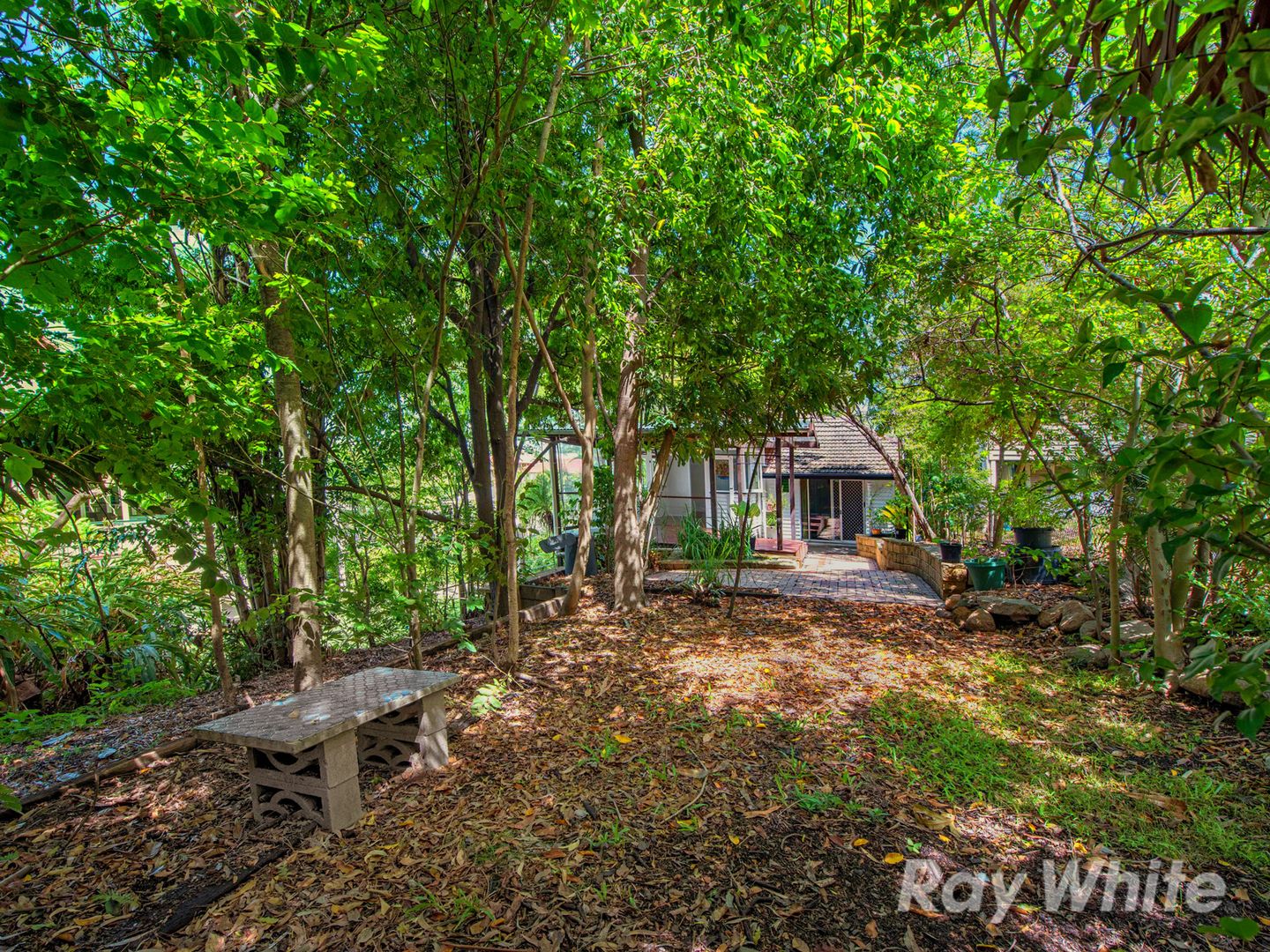 9 Boyne Street, Alderley QLD 4051, Image 1