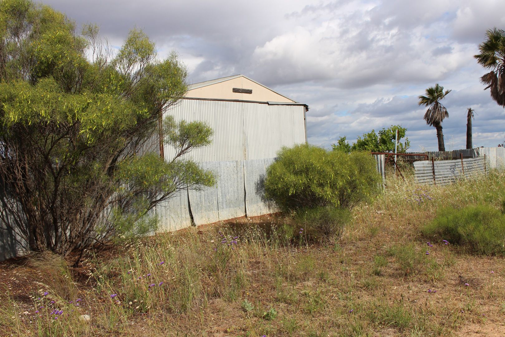 S86 Yappara Road, Lameroo SA 5302, Image 2