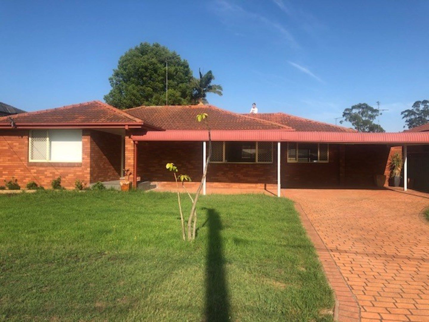 3 Keysor Place, Milperra NSW 2214, Image 0