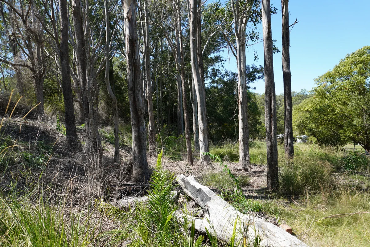 Additional image 13 of 54-58 Tooloom Street, Mallanganee NSW 2469