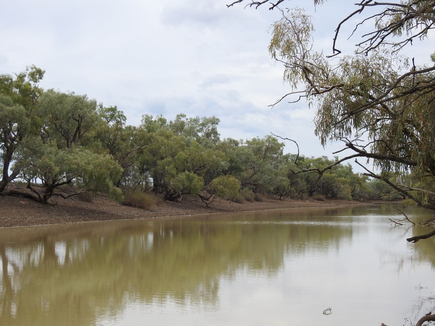 Longreach QLD 4730, Image 2