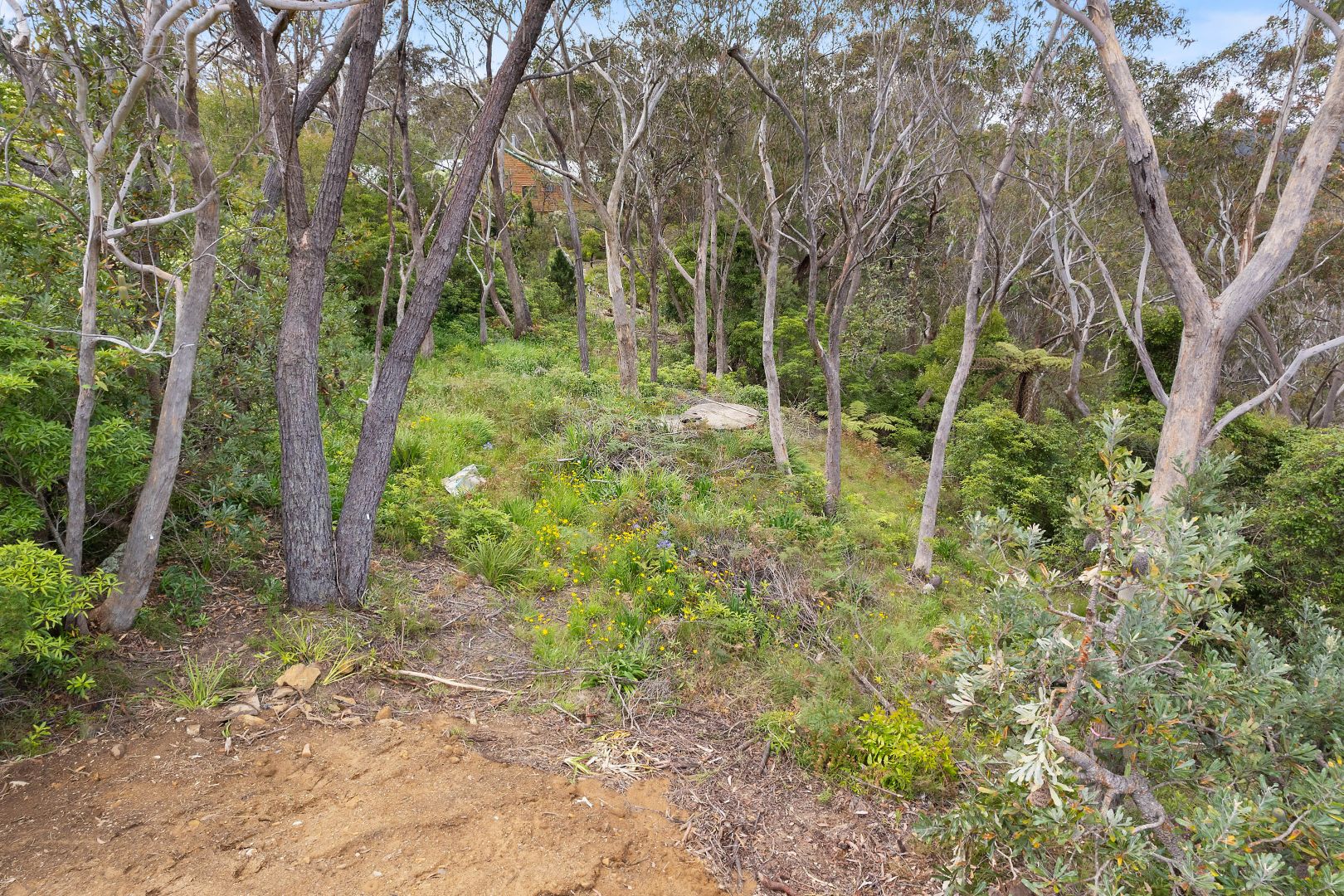 47A Lawson View Parade, Wentworth Falls NSW 2782, Image 2