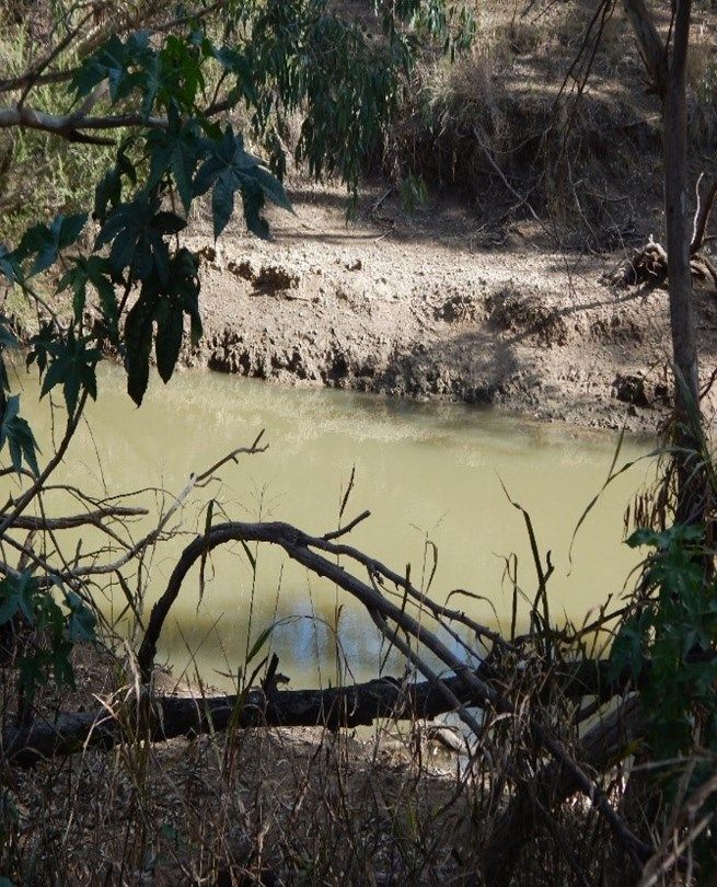 Lot 4 Jackson Grove "Foxes Lodge", Moree NSW 2400, Image 0