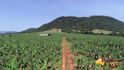 Picture of Utchee Creek QLD 4871, UTCHEE CREEK QLD 4871