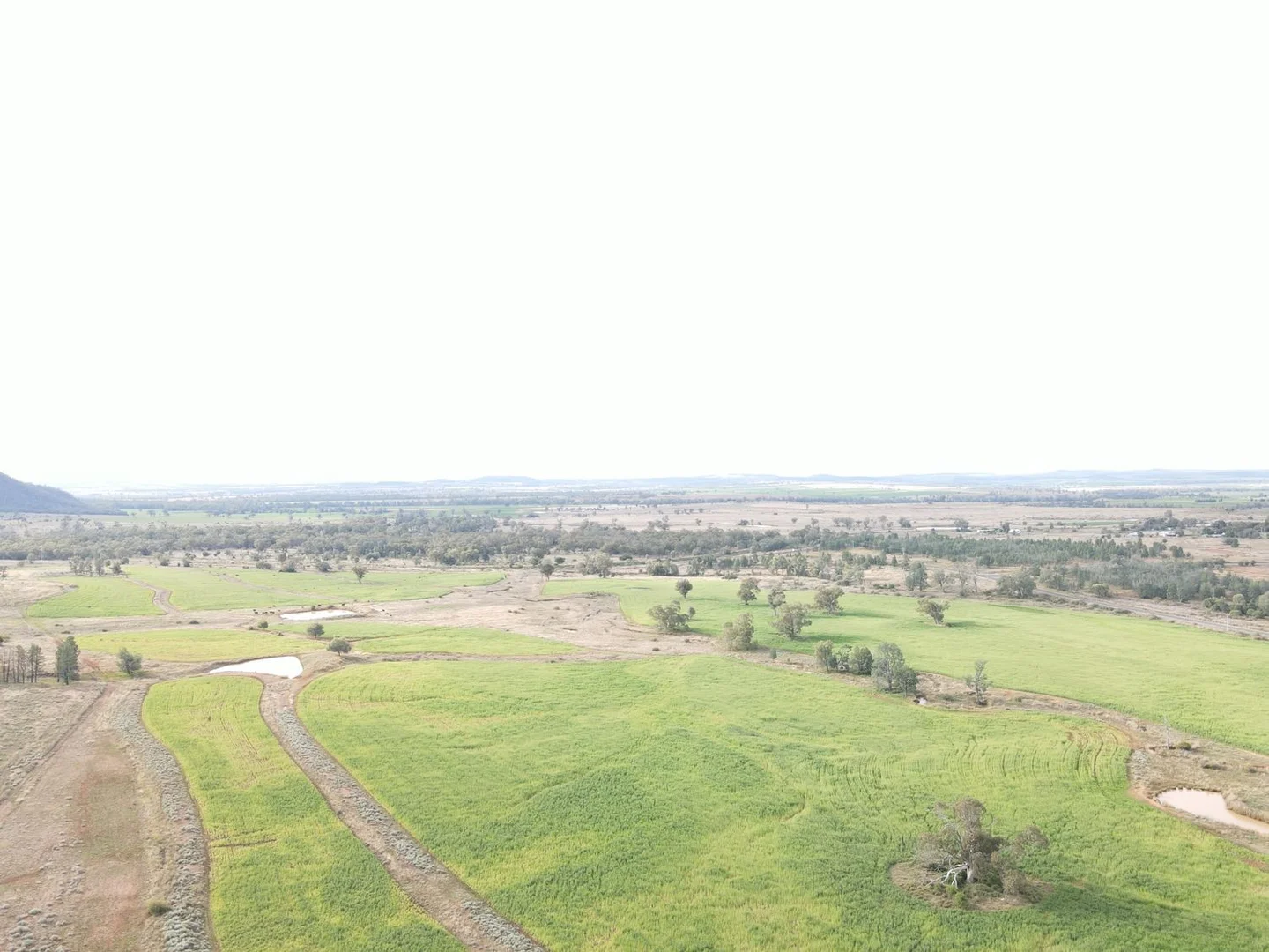 Image 14