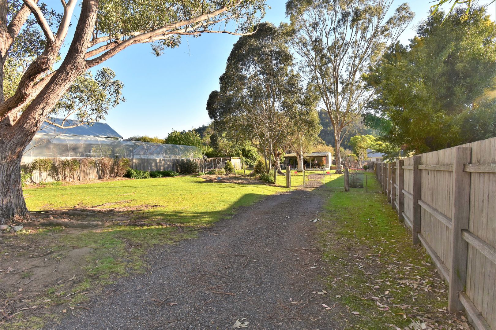 37 Bermagui Road, Cobargo NSW 2550, Image 2