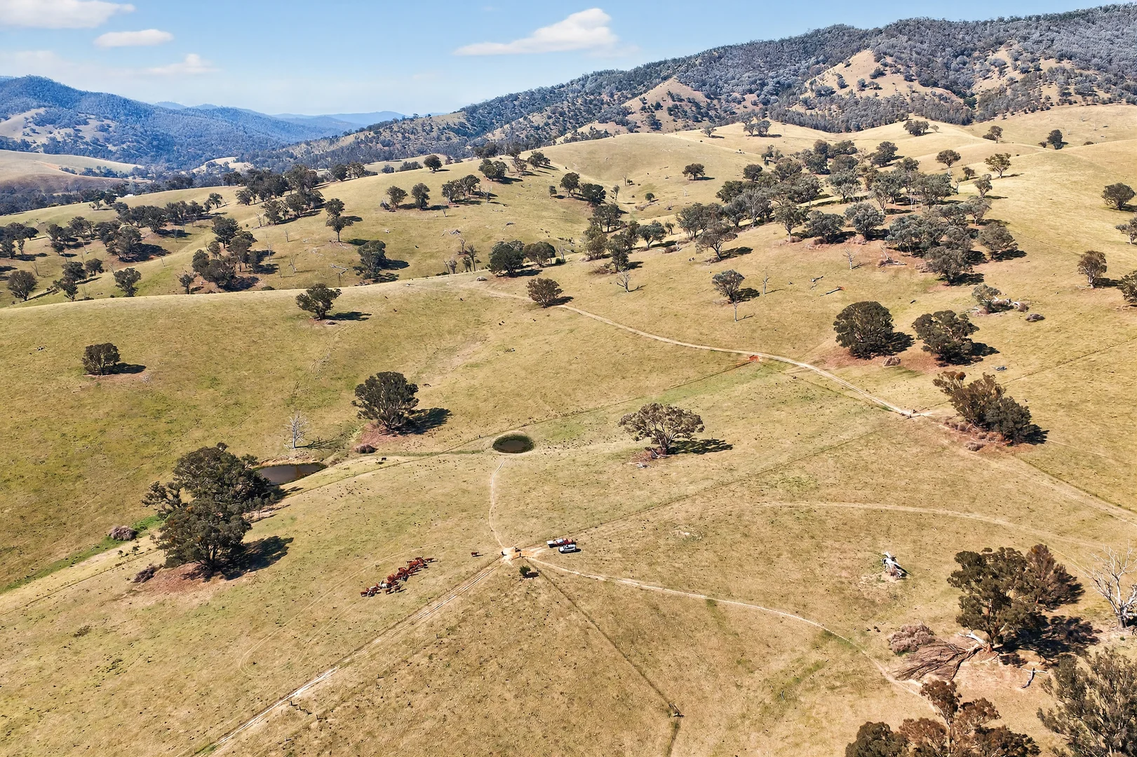 Additional image 5 of 89 Ensay-Doctors Flat Road, Ensay VIC 3895