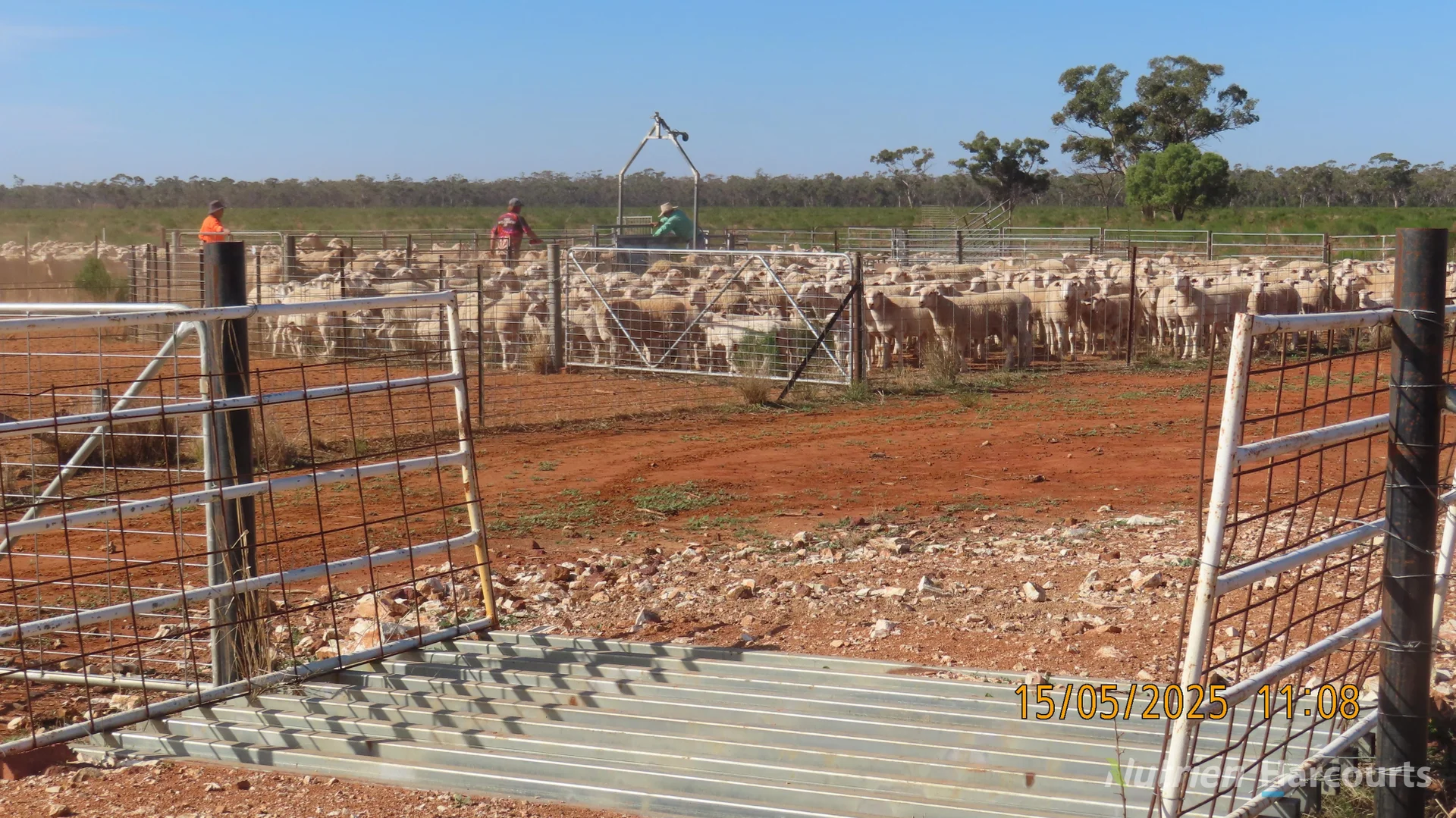 Additional image 21 of * CABLE DOWNS, Cobar NSW 2835