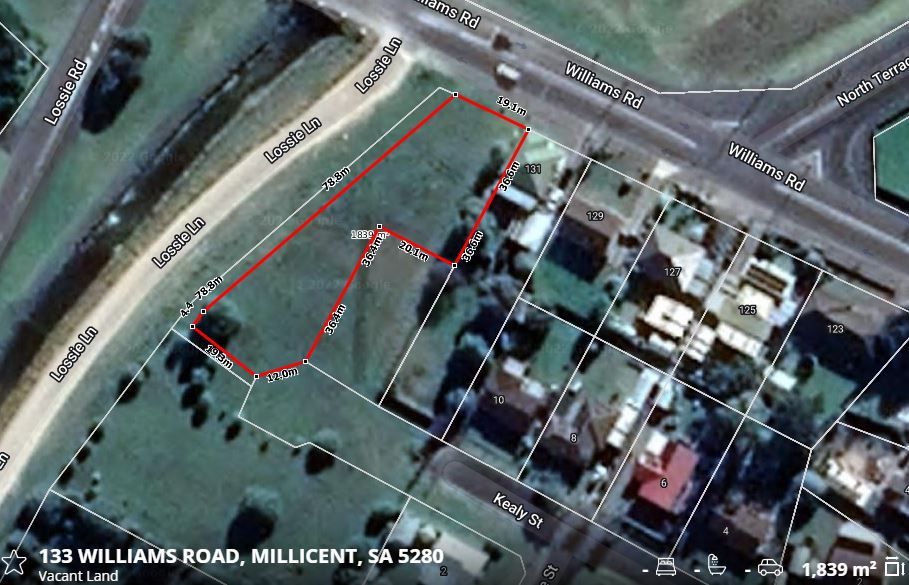 133 Williams Road, Millicent SA 5280, Image 1