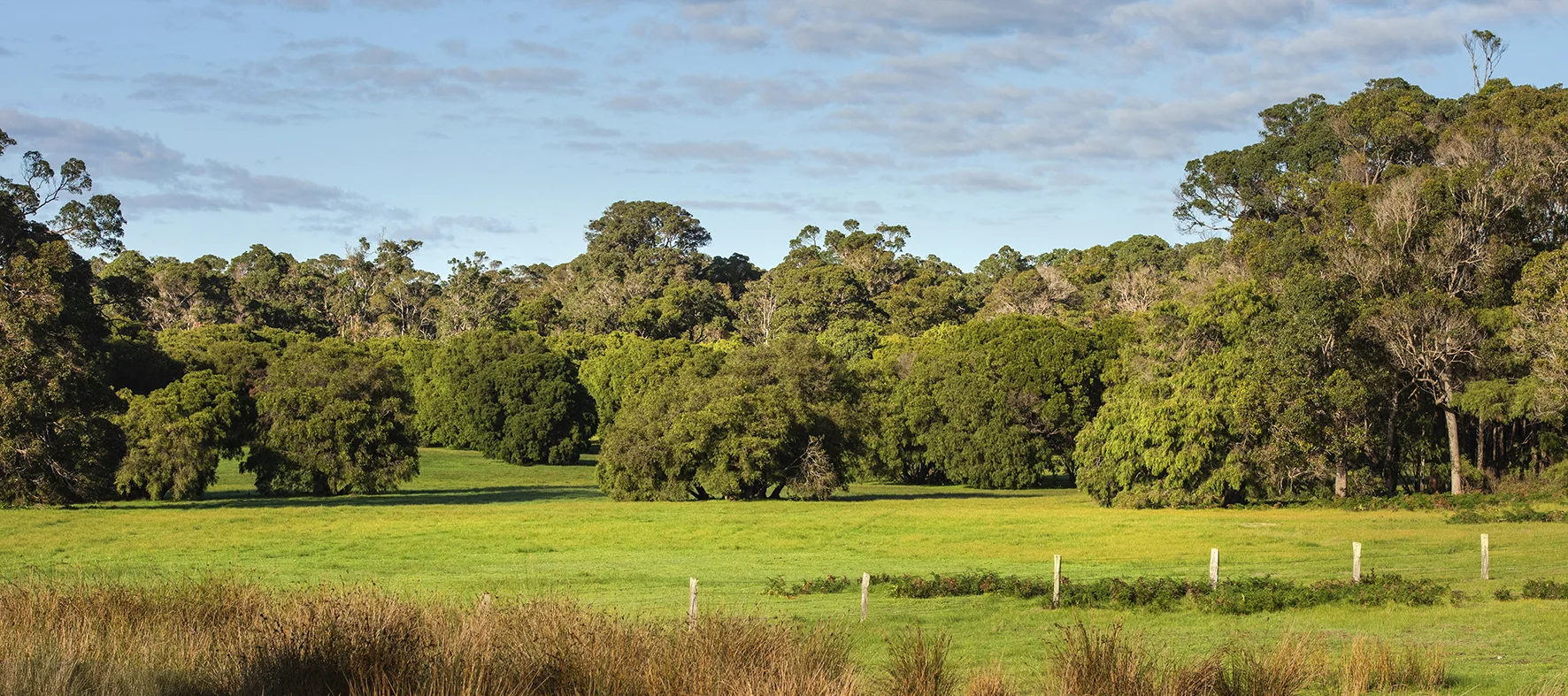 Additional image 3 of Lot 32 Blackwood Grove, Kudardup WA 6290