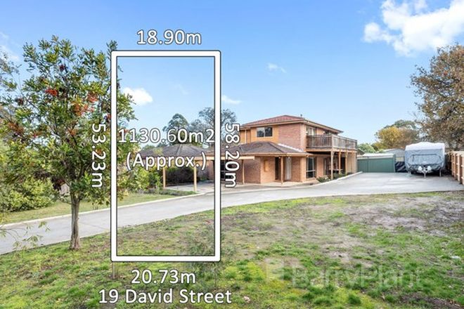 Picture of 19 David Street, KNOXFIELD VIC 3180