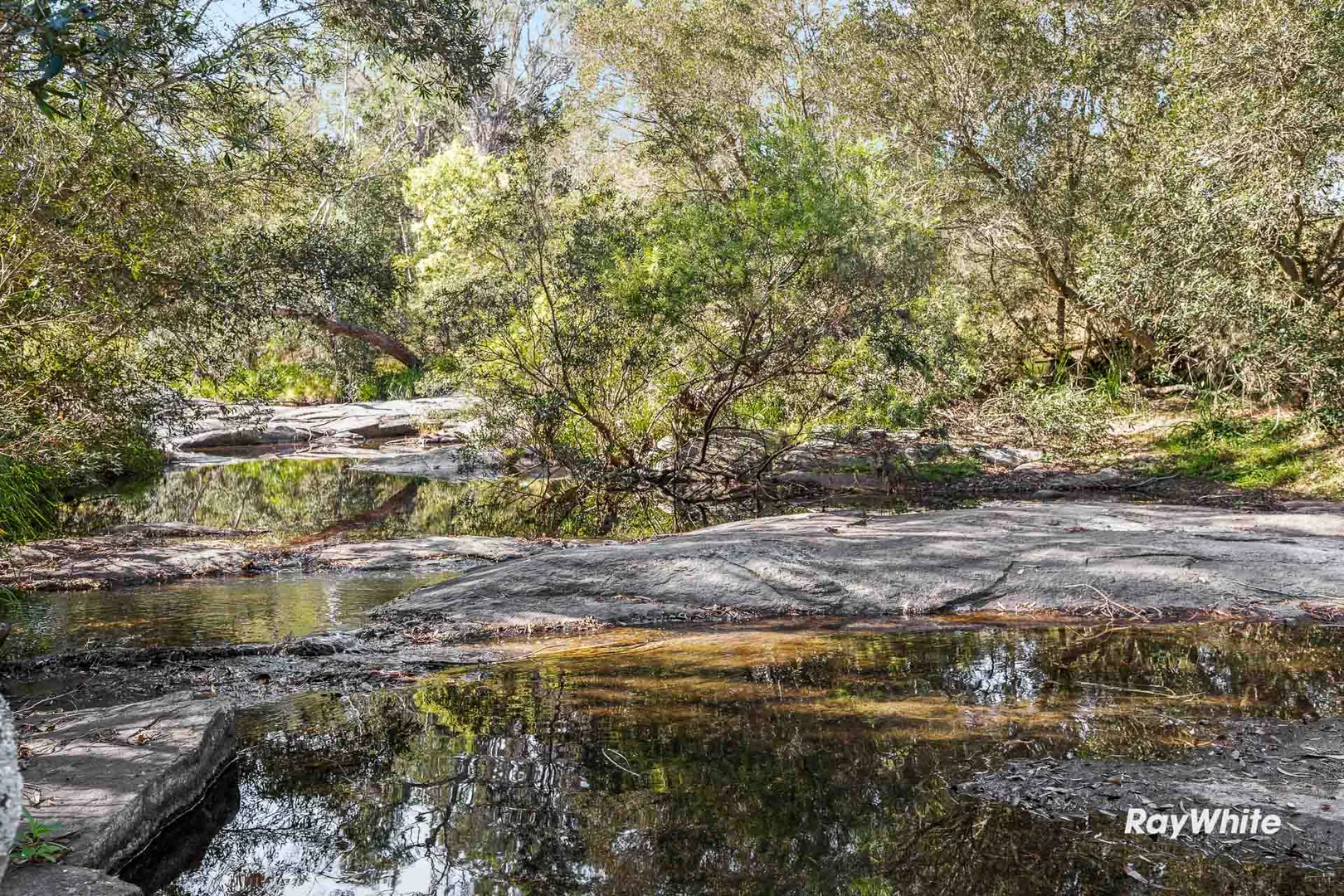 Additional image 19 of 420 Larrys Mountain Road, Moruya NSW 2537