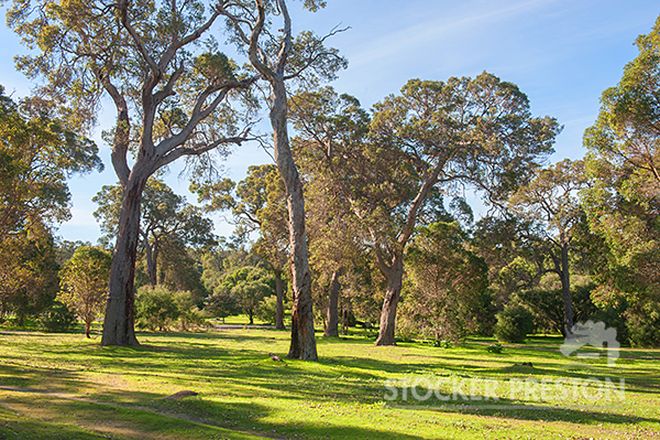 Picture of 12 Grassybank Cove, YALLINGUP SIDING WA 6282