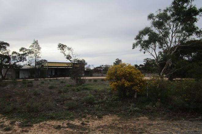 Picture of 124 Caddy Road, BARMERA SA 5345
