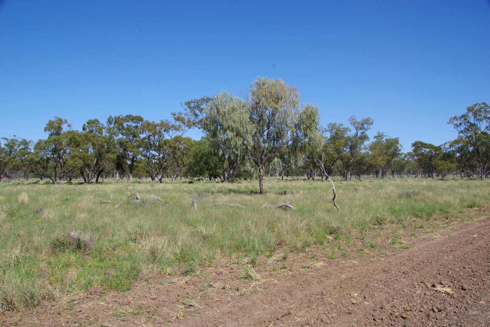 Additional image 28 of . Sunnyside Lane, Wee Waa NSW 2388