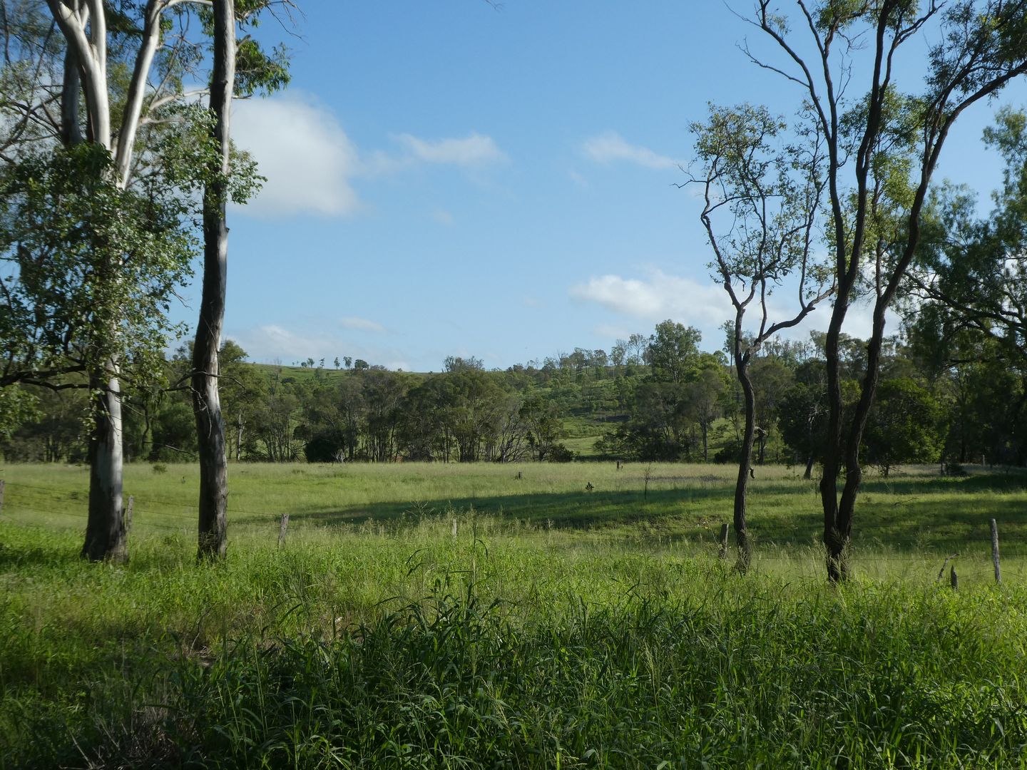758 FOWLERS ROAD, Wilson Valley QLD 4625, Image 1
