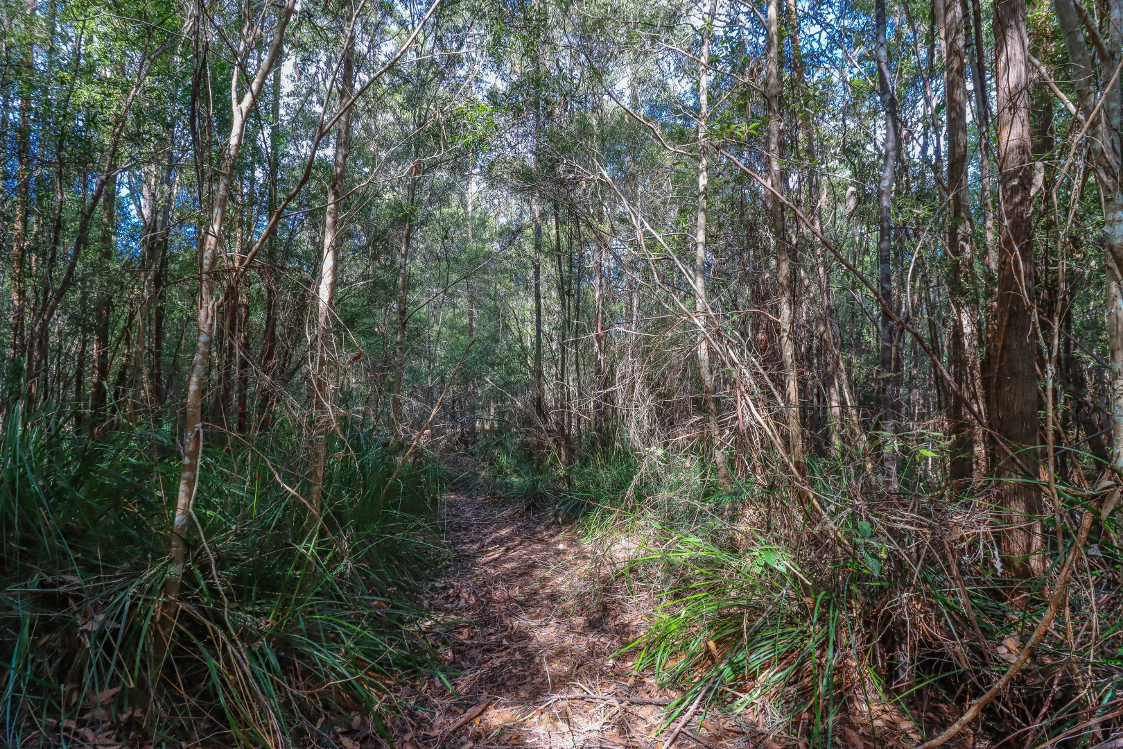 Additional image 23 of 1 Link Road, Lonnavale TAS 7109