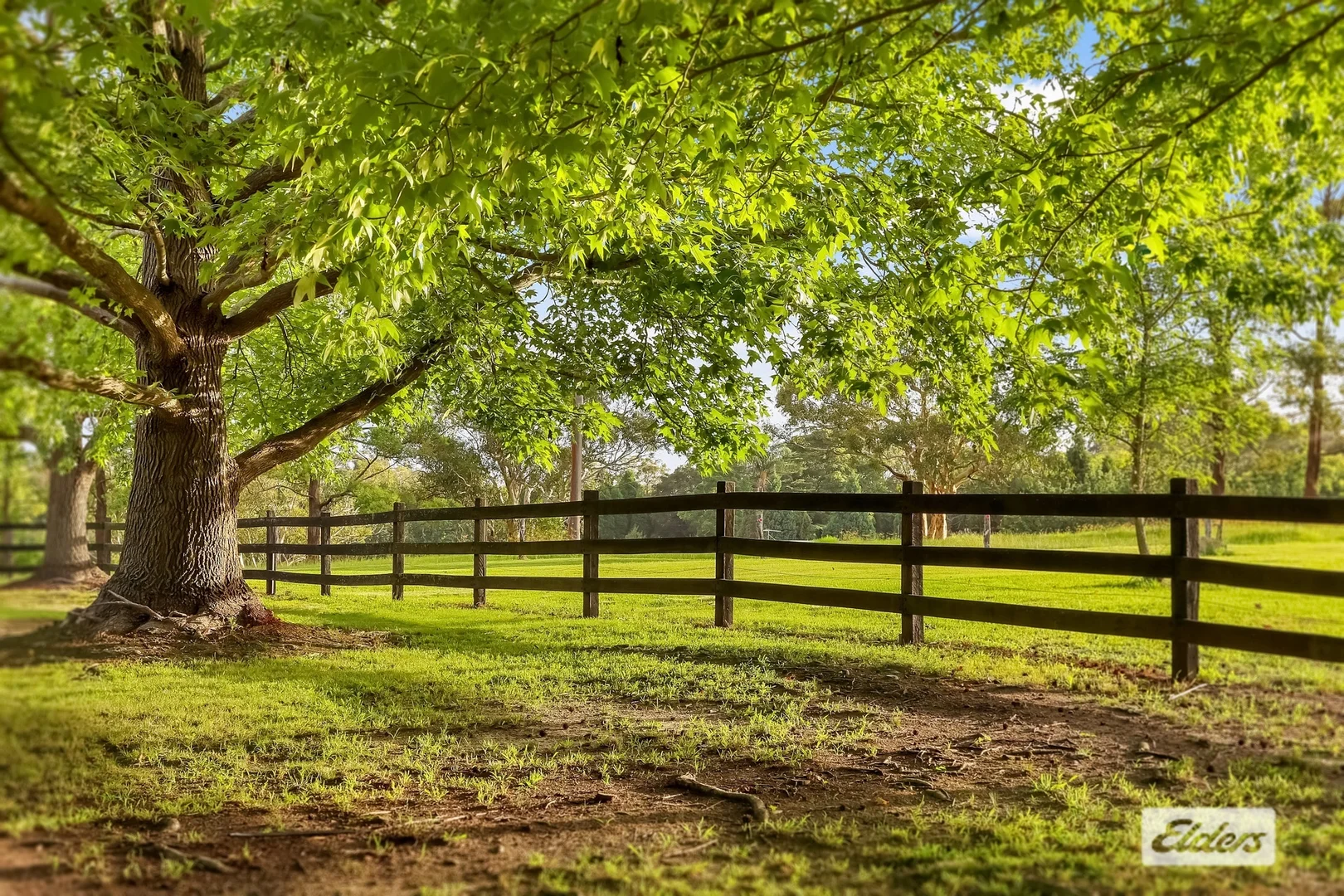 Additional image 5 of 380 George Downes Drive, Central Mangrove NSW 2250