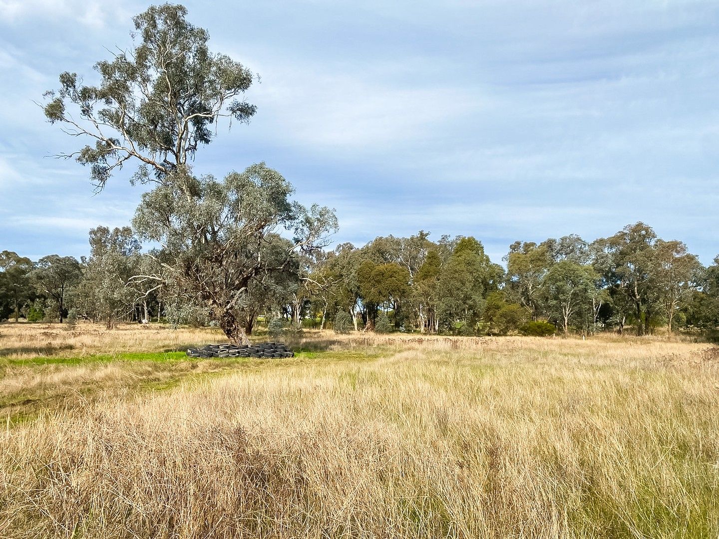 Lots 3 & 4 Mcleod Street, Gerogery NSW 2642, Image 0