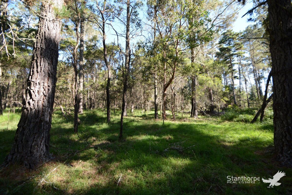 Lot 144 Blackbutt Road, Sugarloaf QLD 4380, Image 0