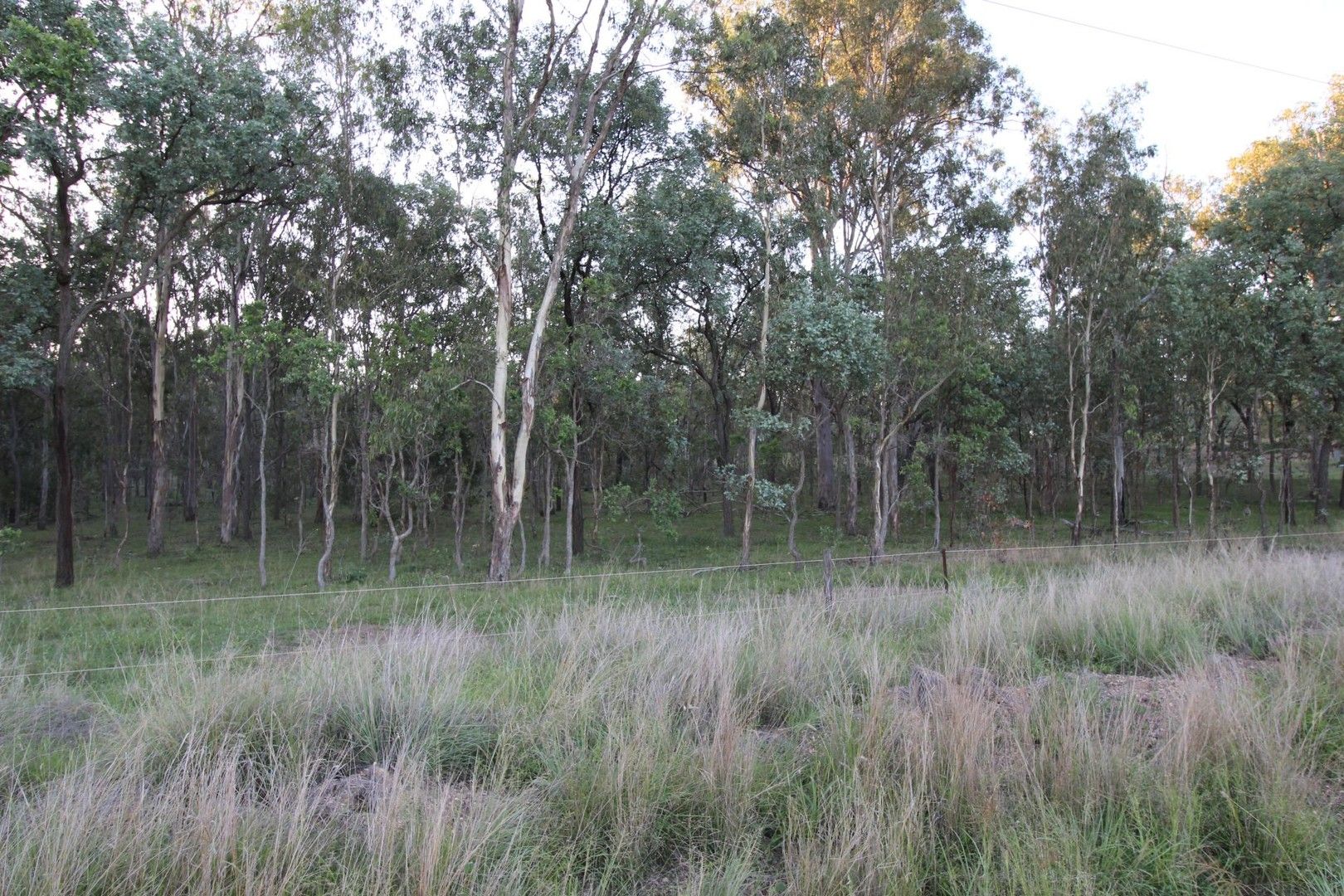 Lot 9 Runnymede Estate Road, Runnymede QLD 4615, Image 0