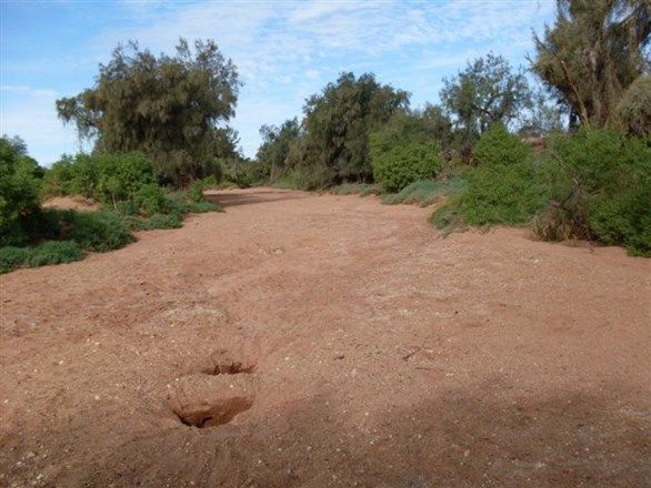 Mullewa WA 6630, Image 1