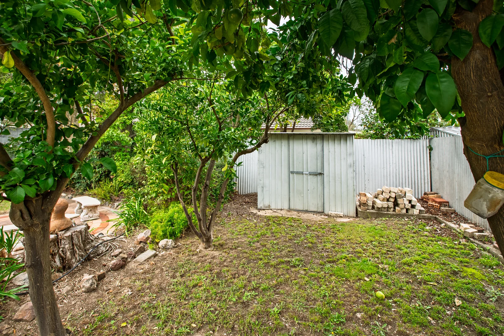 Additional image 15 of 561 Kemp Street, Lavington NSW 2641