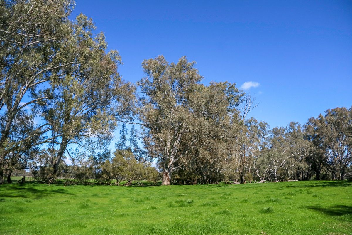 Crown Allotment 57 Goodwins Lane, Milawa VIC 3678, Image 2