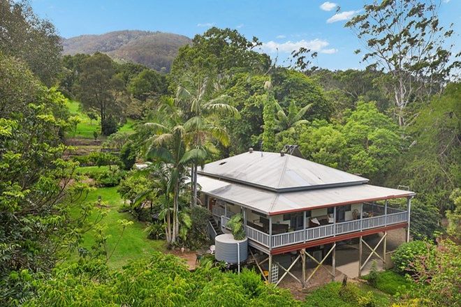 Picture of 73 MOUNT WARNING ROAD, MOUNT WARNING NSW 2484