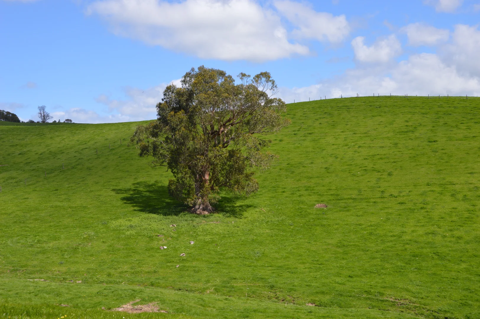 Image 21