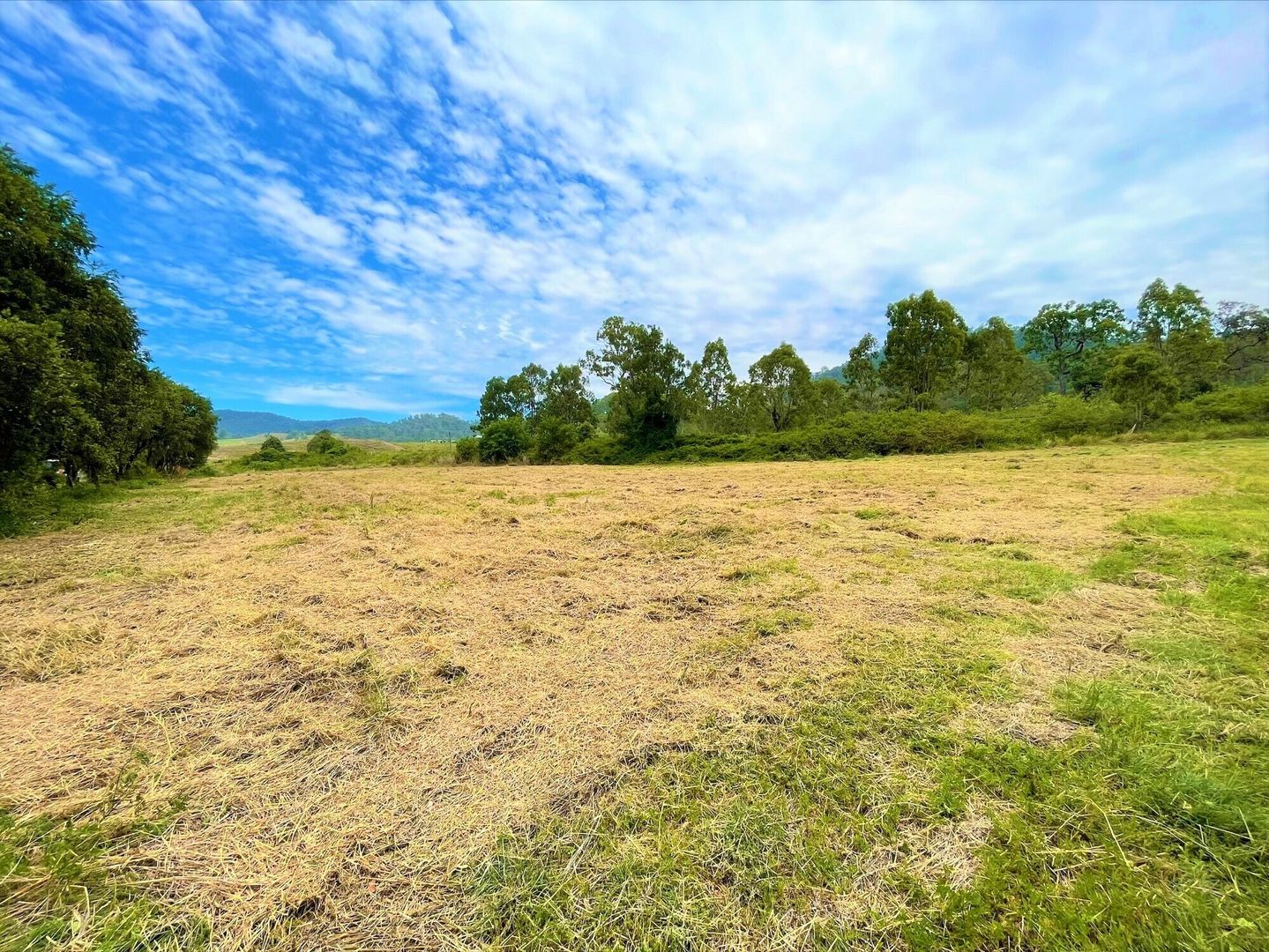 Lot 88 Calamia Road, Kyogle NSW 2474, Image 1